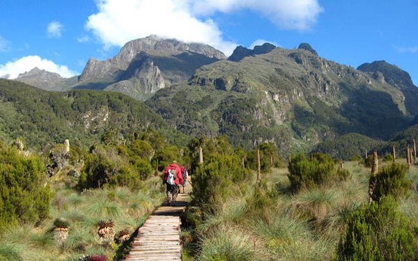 Rwenzori Mountains National Park