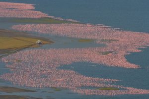 Lake Nakuru, Kenya.whileinafrica