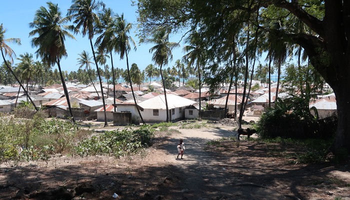 Houses behind the Beaches.whileinafrica