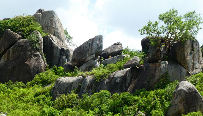 A popular landscape in Serengeti, Tanzania.whileinafrica